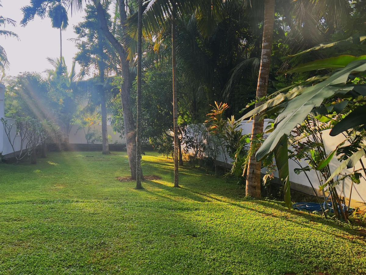Villa Ema กอลล์ ภายนอก รูปภาพ