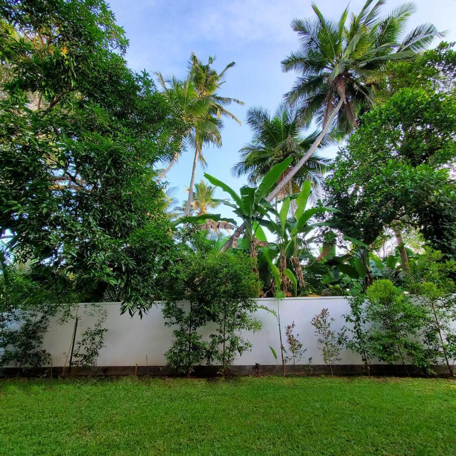 Villa Ema กอลล์ ภายนอก รูปภาพ
