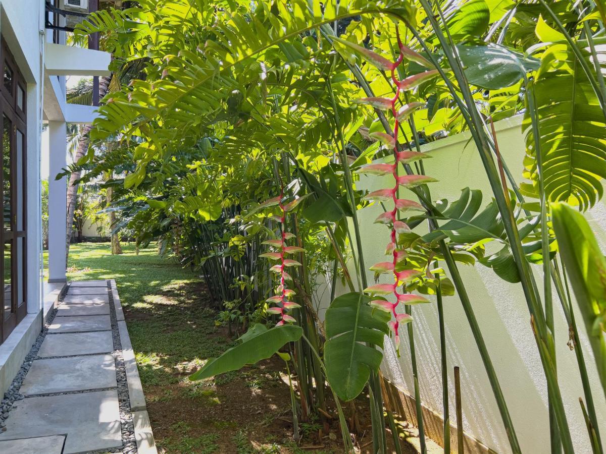 Villa Ema กอลล์ ภายนอก รูปภาพ