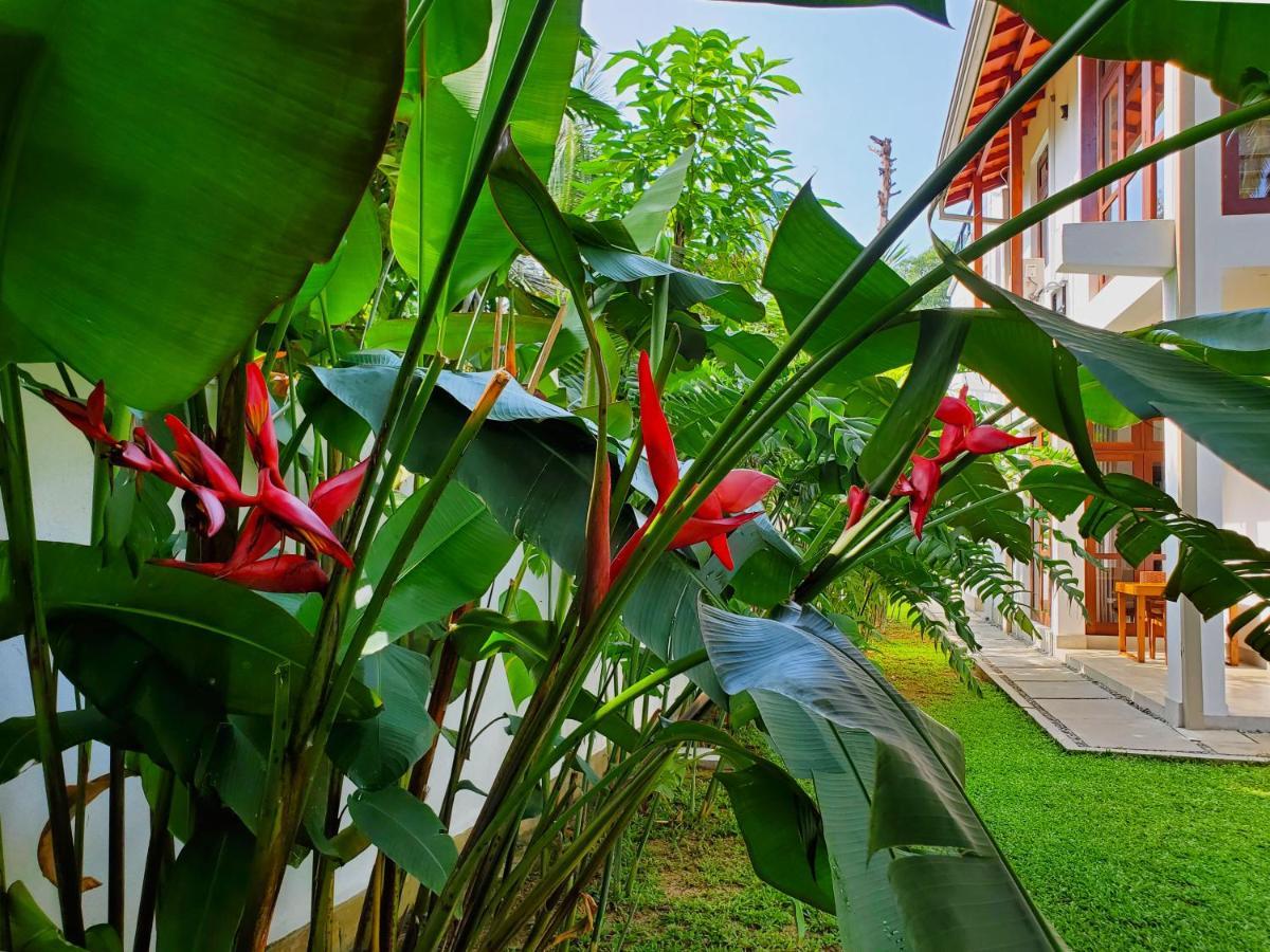 Villa Ema กอลล์ ภายนอก รูปภาพ